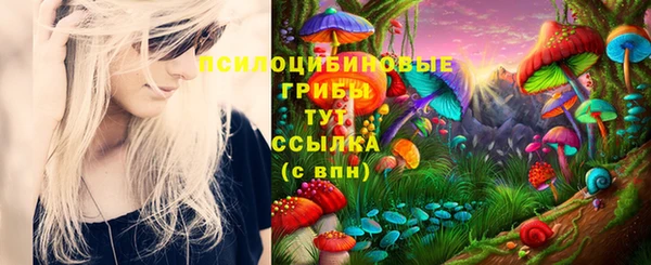 ешки Соль-Илецк