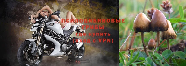 не бодяженный Ступино