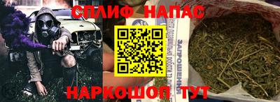 ПСИЛОЦИБИНОВЫЕ ГРИБЫ Заволжье