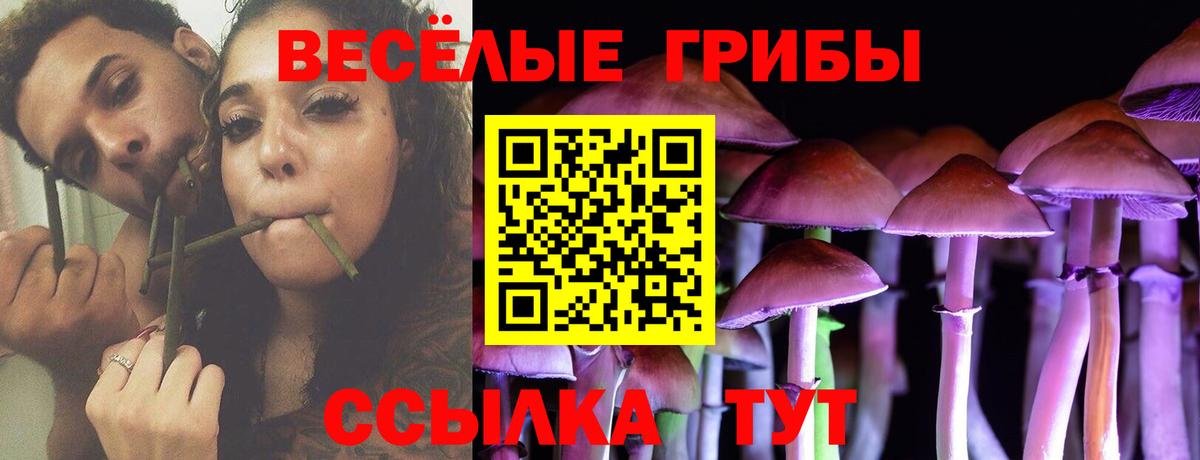 Галлюциногенные грибы мицелий  цены наркотик  Копейск  Вход с VPN 
